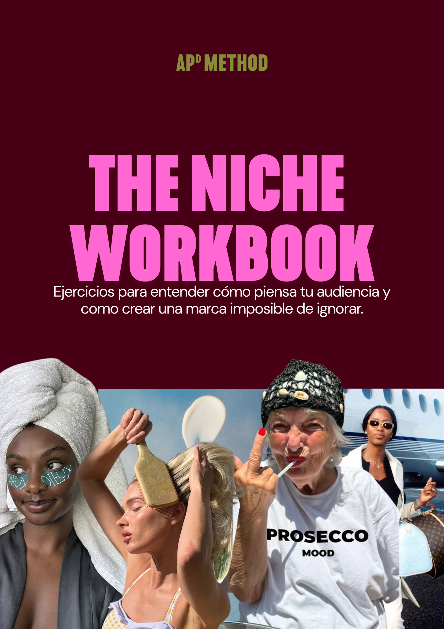 THE NICHE  WORKBOOK: EJERCICIOS PARA OBSESIONAR A TU AUDIENCIA.